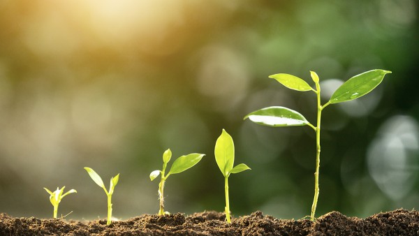 Sustainability forms an integral part of Schaeffler's corporate strategy. We also always keep sustainability in mind in our event management.
